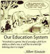education-system-Einstein.jpg (142536 bytes)